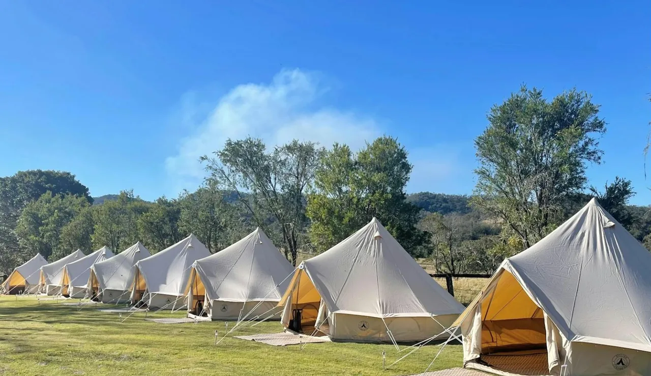 A row of bell tents set up for glamping on open grass